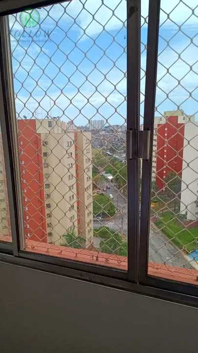 Apartamento à venda com 2 quartos, 54m² - Foto 4